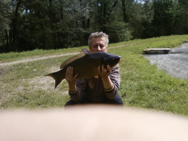 Vsobotu večer 72 cm
