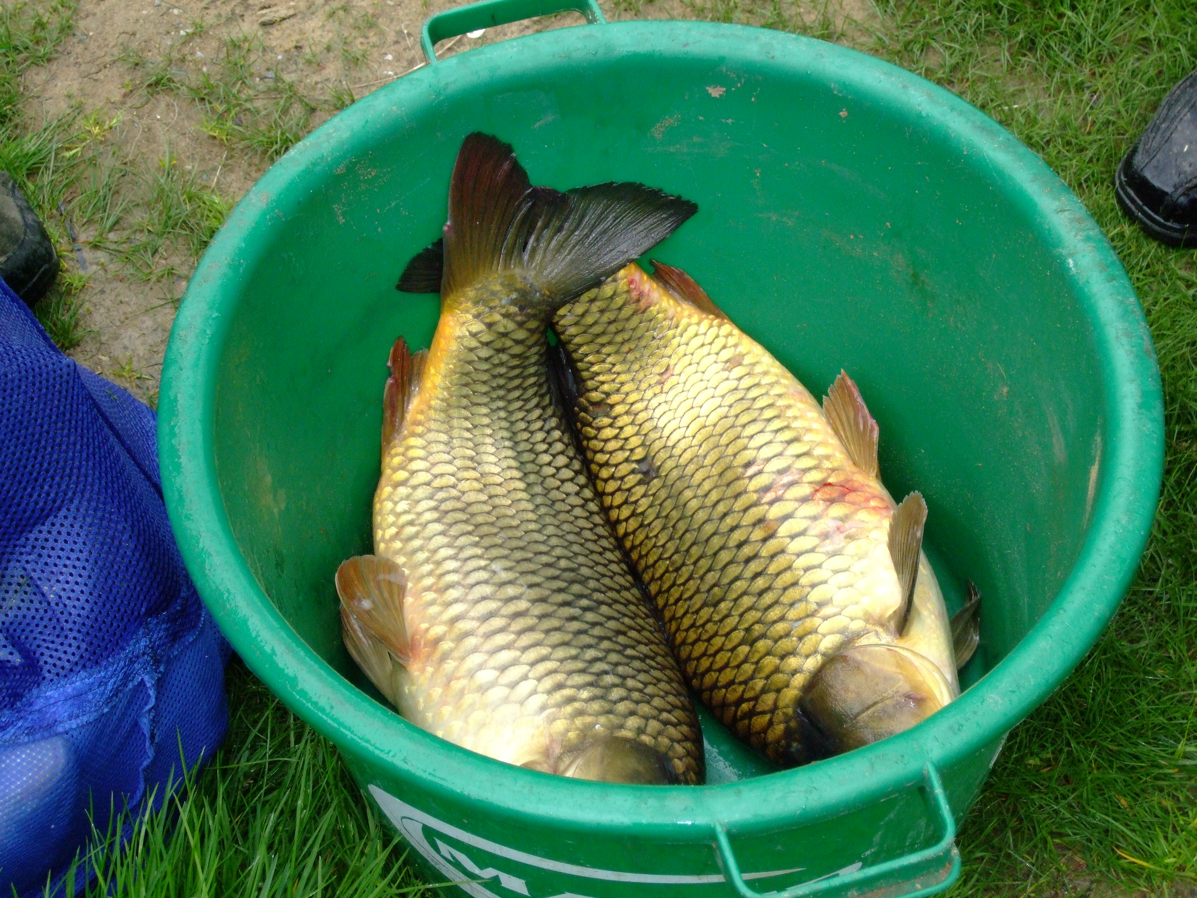 DSCF1069.JPG