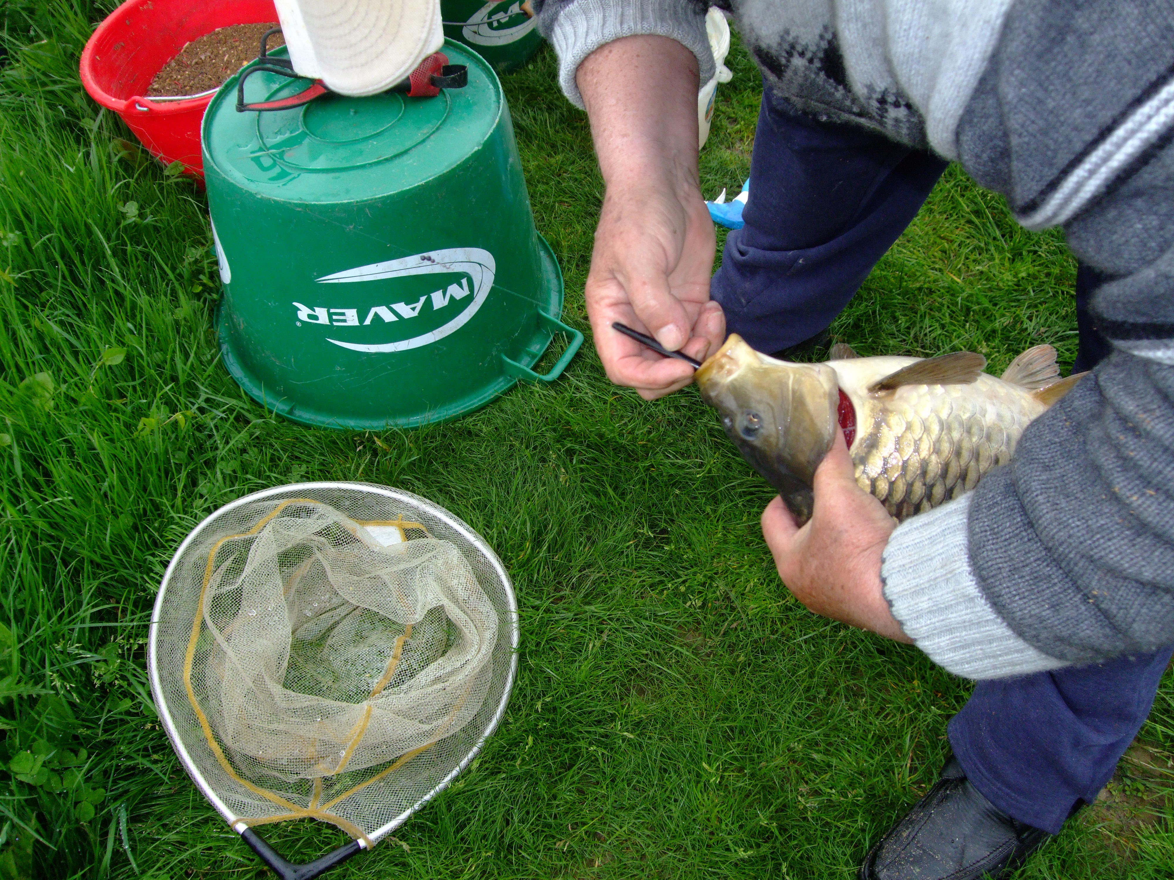 DSCF1055.JPG