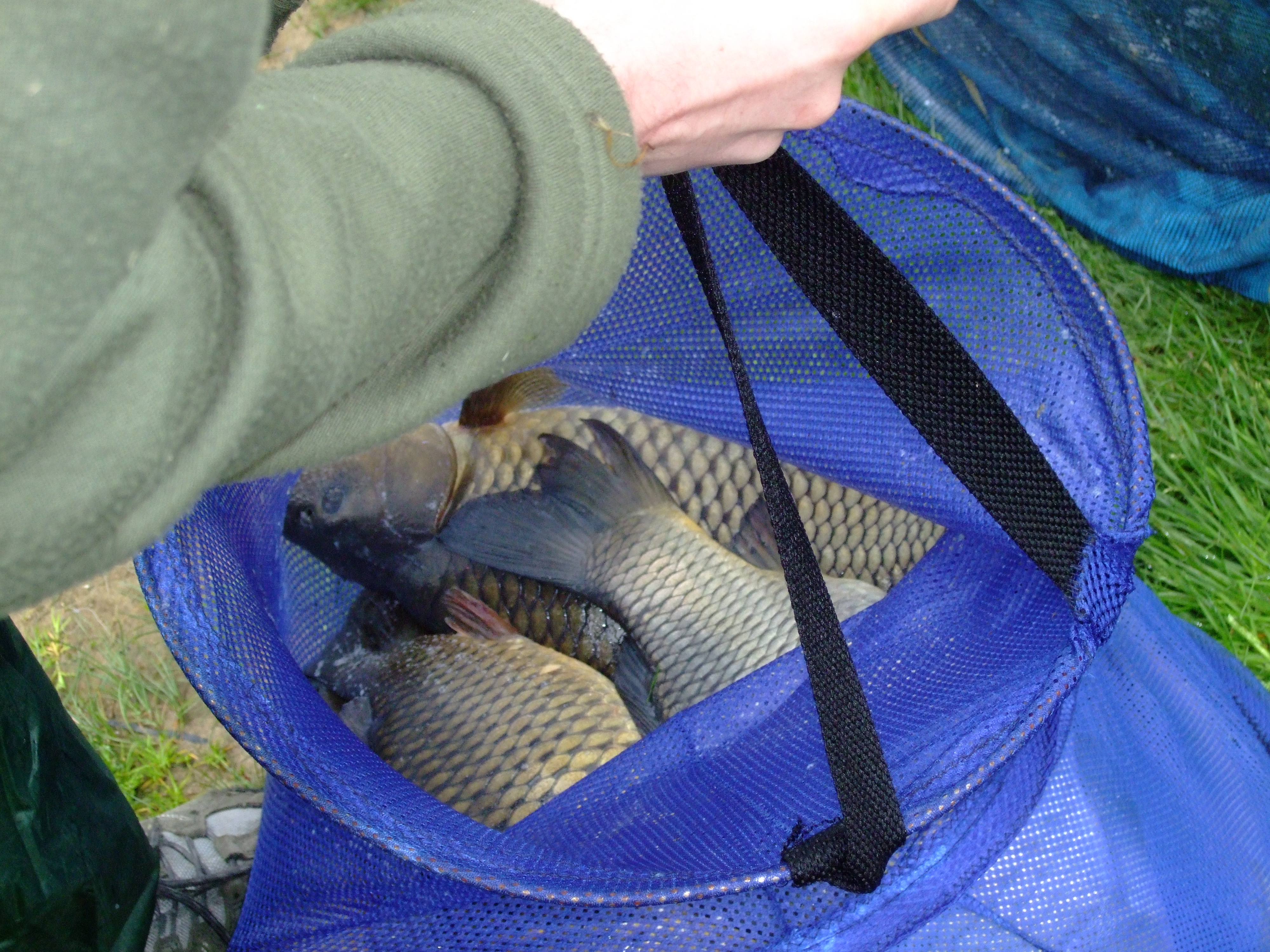 DSCF1066.JPG