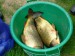 DSCF1069.JPG